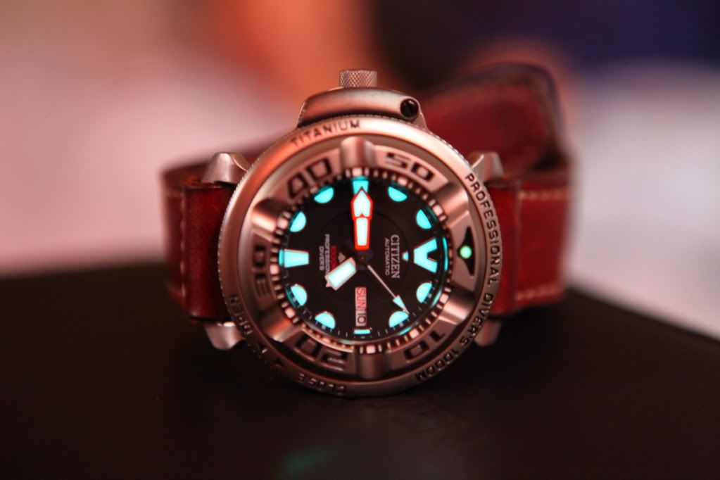 citizen promaster 1000m titanium